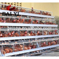 3 Tiers &amp; 4 Tiers Layer Chicken Cage en venta